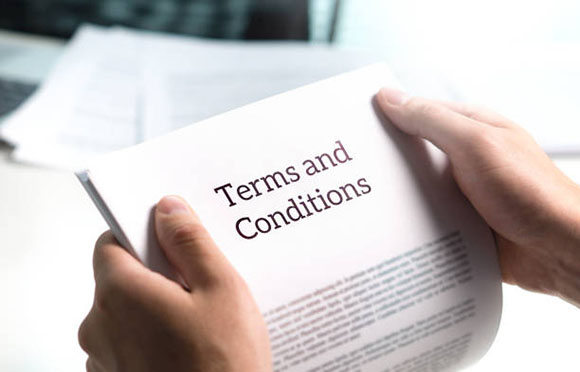 the terms and condition in any sale